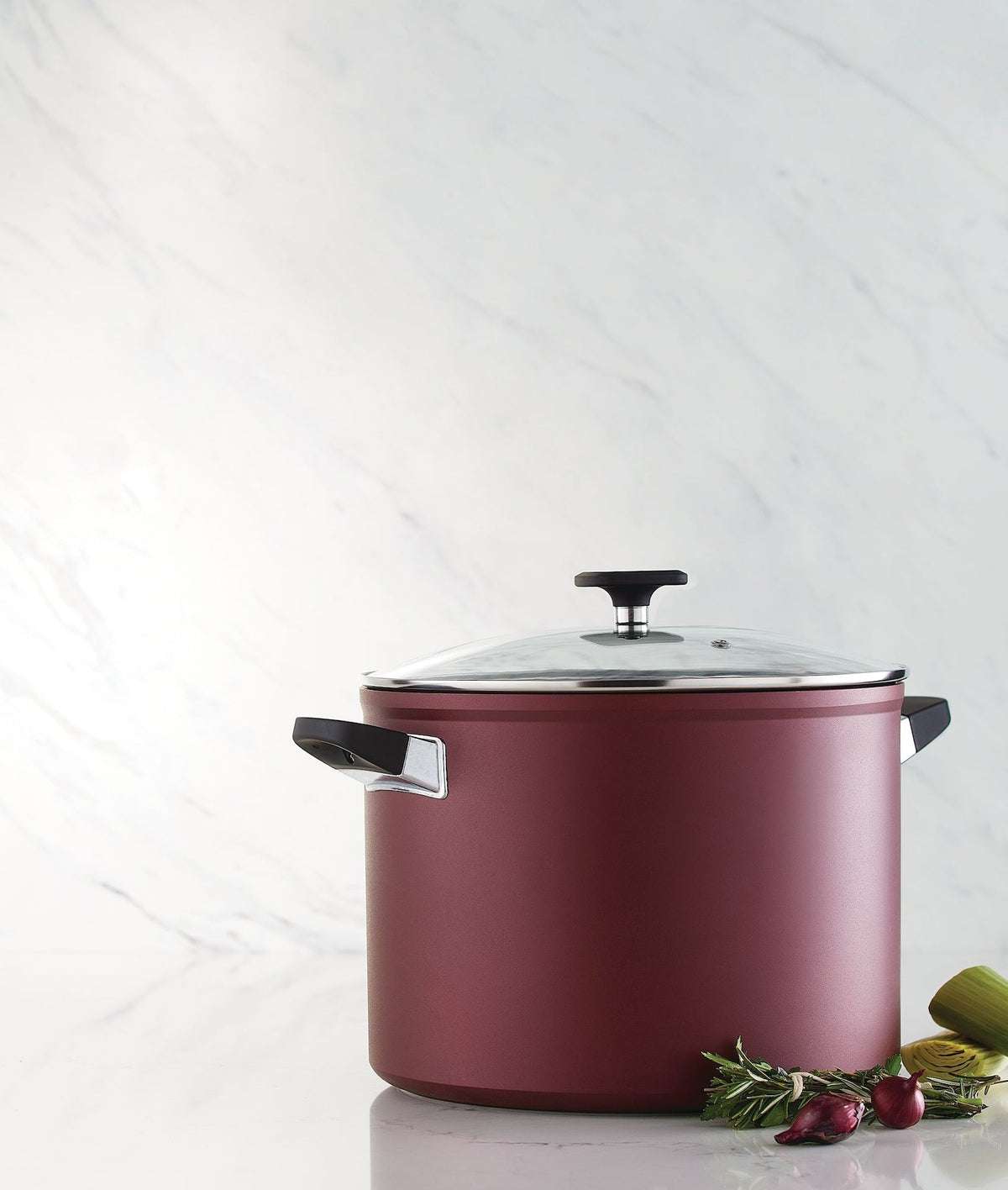 PADERNO Classic Non-Stick Stock Pot, 10-qt