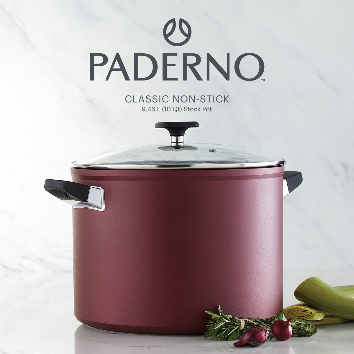 PADERNO Classic Non-Stick Stock Pot, 10-qt