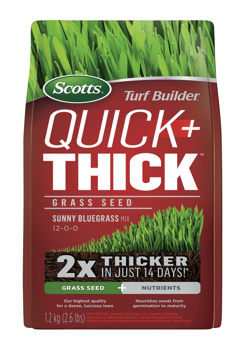 Scotts Turf Builder Quick + Thick Grass Seed Sunny Bluegrass Mix, 12-0-0, 1.2-kg Y4