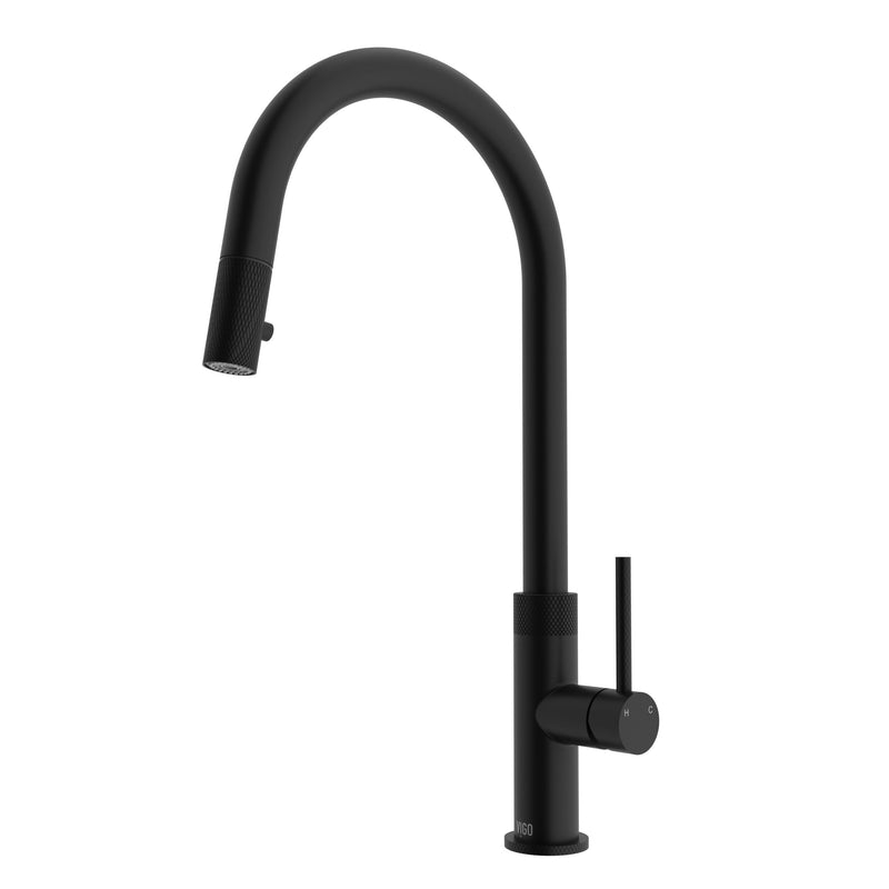 VIGO Bristol Kitchen Faucet T3