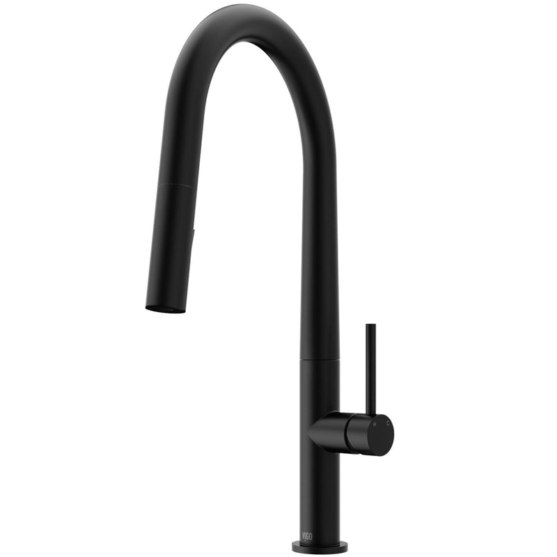 VIGO Greenwich Kitchen Faucet, Matte Black S6