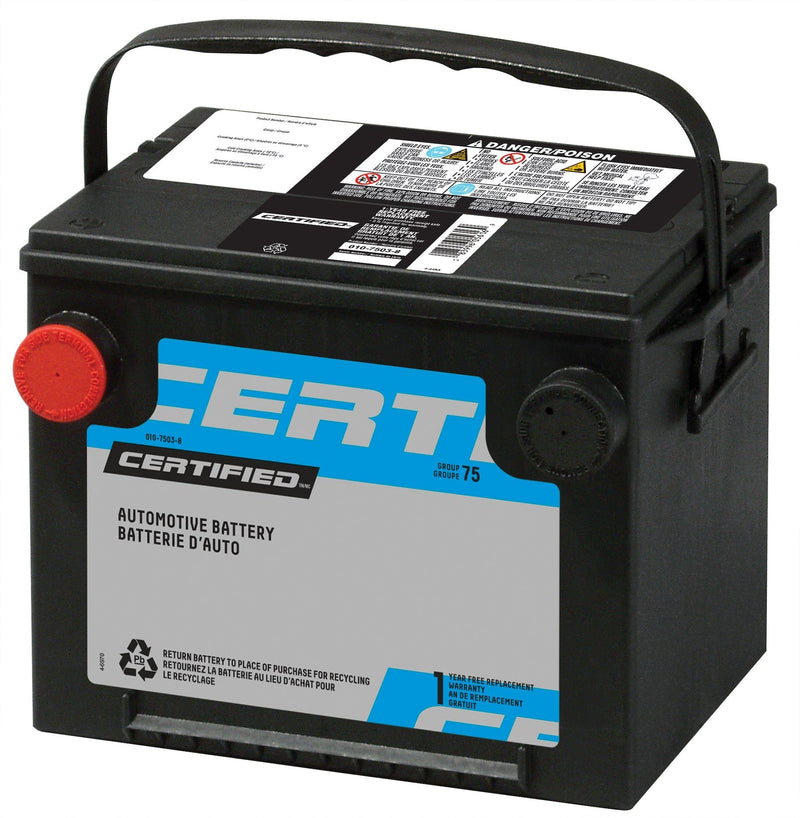 Yardworks Replacement 48V 6Ah Lithium-Ion Battery Please make sure this part fits your need V1